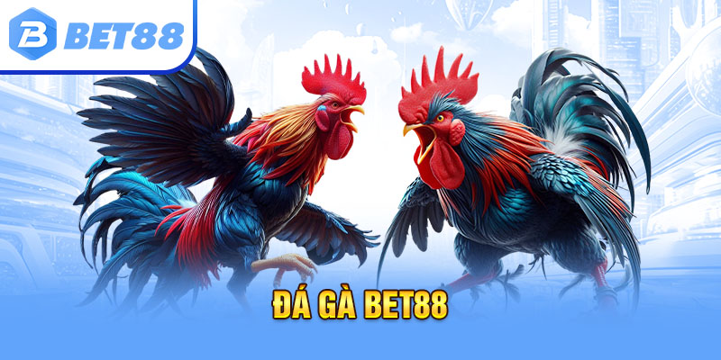 Đá Gà Bet88