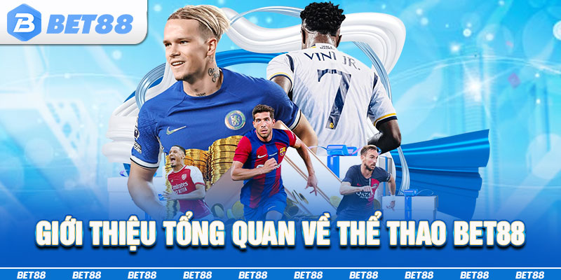 Giới thiệu tổng quan về nhà cái BET88